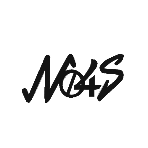 N04S